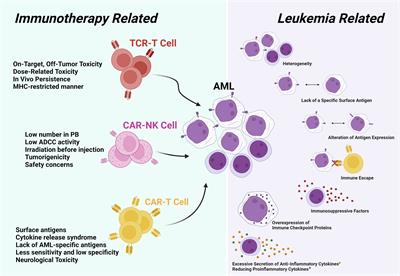 Finding potential targets in cell-based immunotherapy for handling the challenges of acute myeloid leukemia